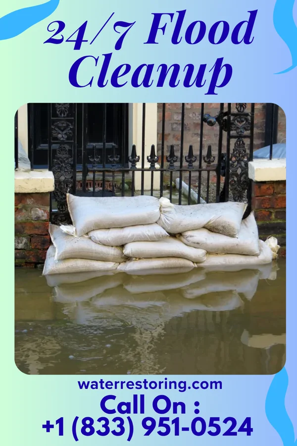 24/7 Flood Cleanup in Roxboro, NC