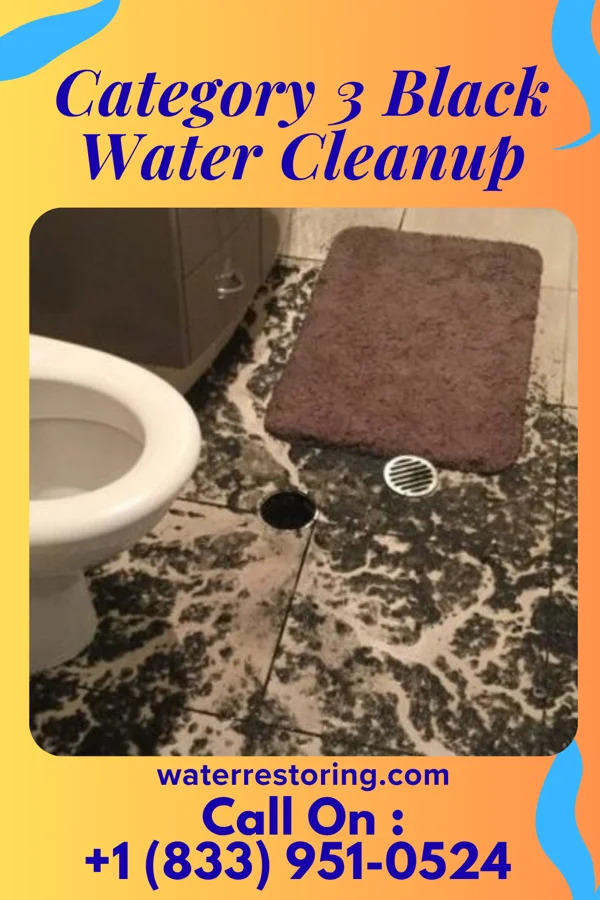 Category 3 Black Water Cleanup in Roxboro, NC