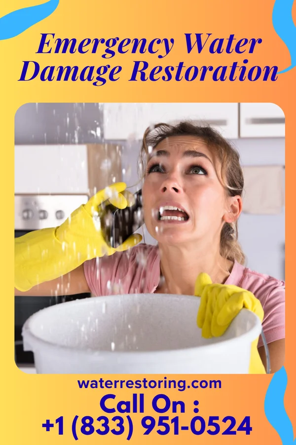 Emergency Water Damage Restoration in Roxboro, NC