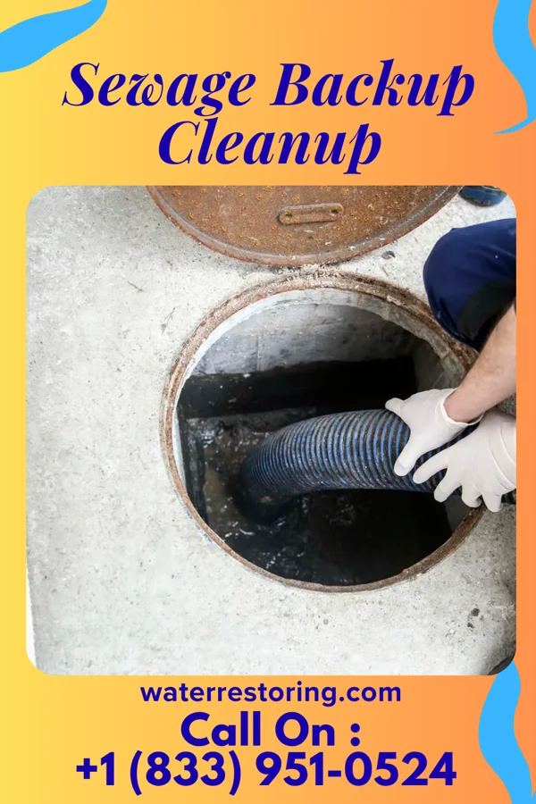 Sewage Backup Cleanup in Roxboro, NC