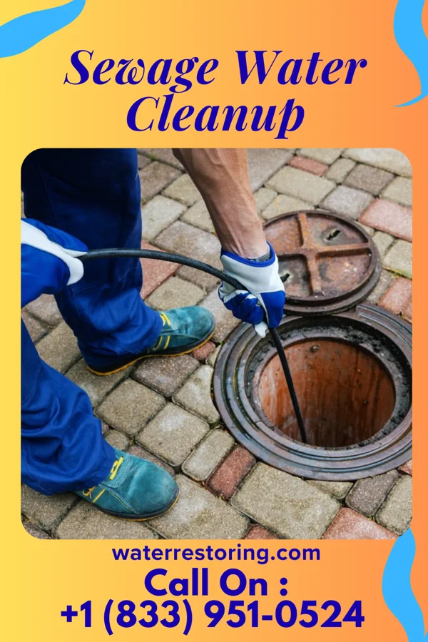 Sewage Water Cleanup in Roxboro, NC
